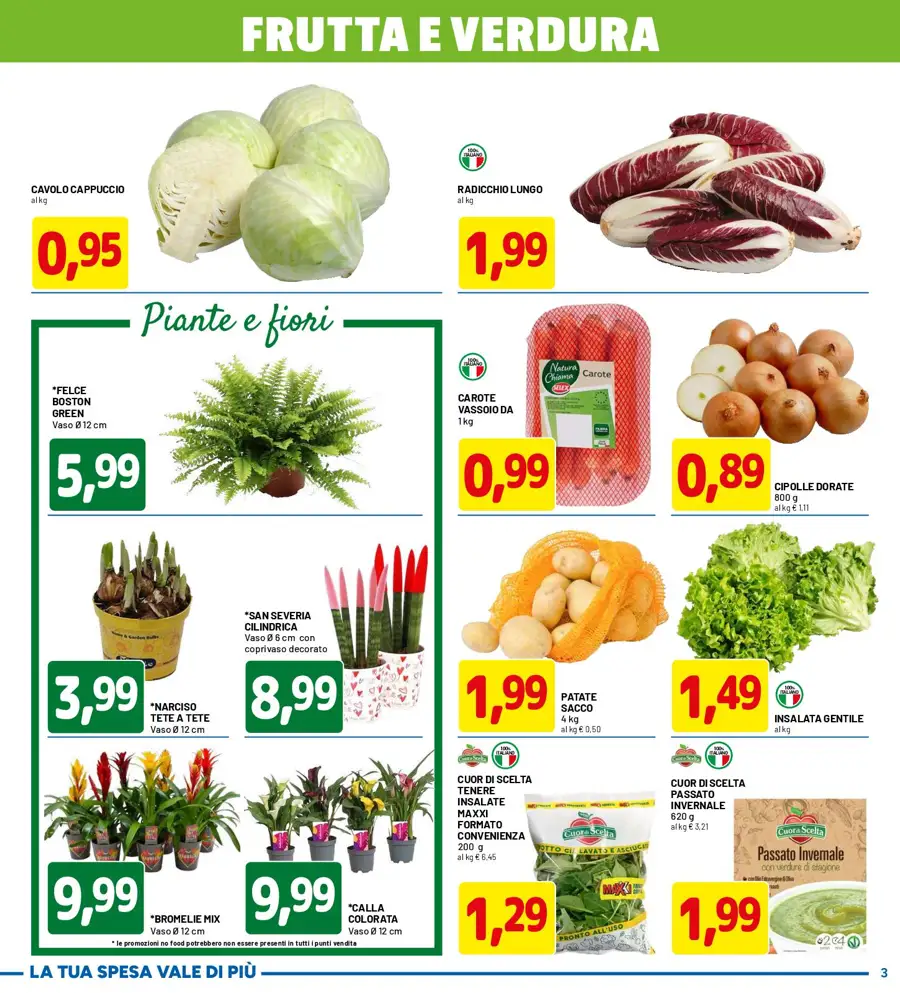 Volantino DPiù Maxi Formati dal 23/02 al 4/03/2026