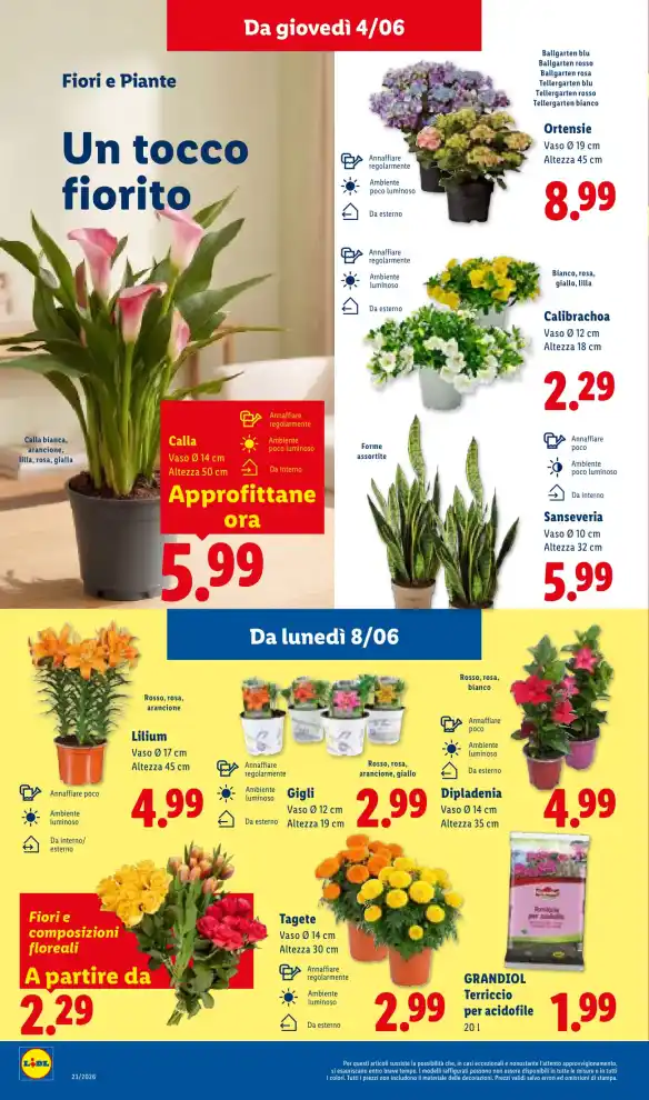 Volantino Promozioni24 pagina 264315