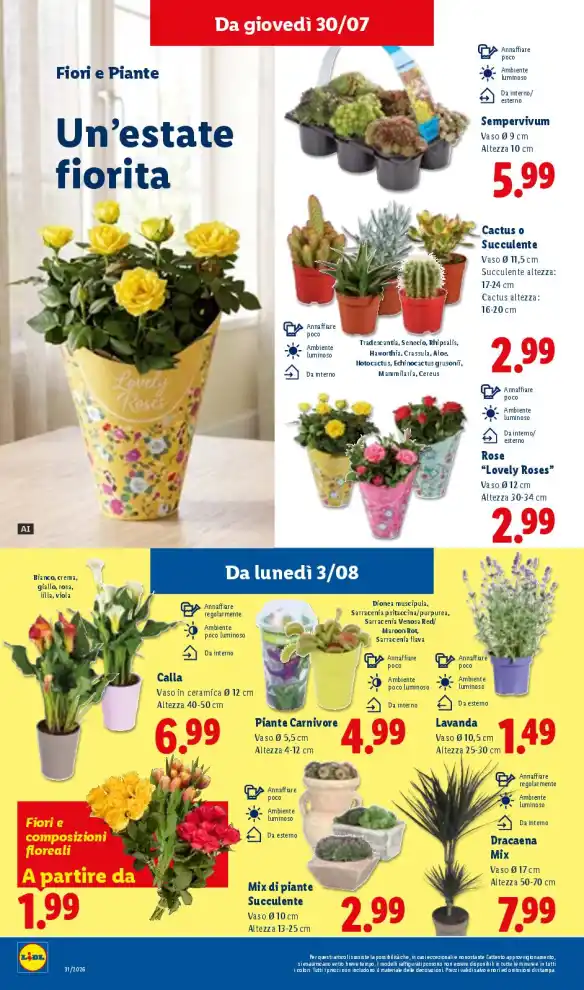 Volantino Promozioni24 pagina 554846
