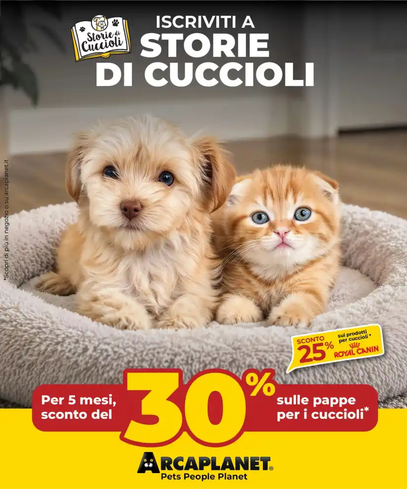 Volantino Promozioni24 pagina 102969