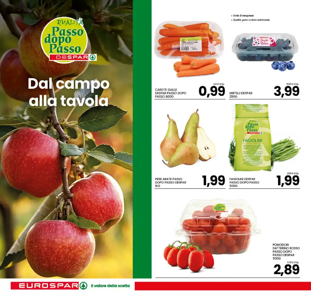 Volantino Promozioni24 pagina 374297