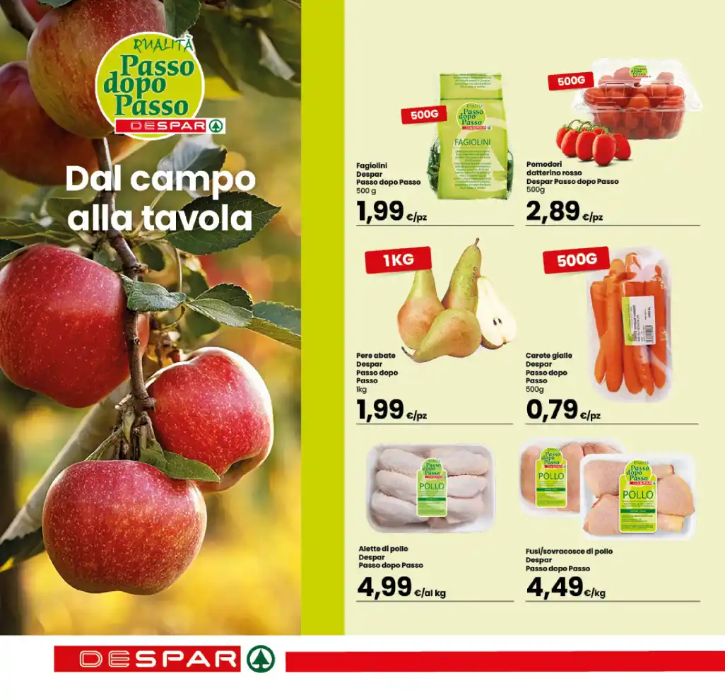 Volantino Promozioni24 pagina 720768