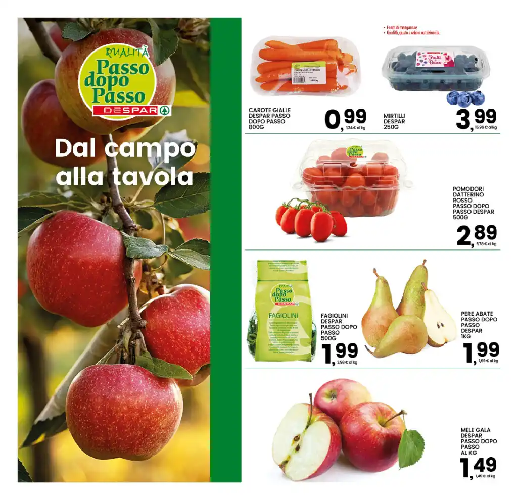 Volantino Promozioni24 pagina 520798