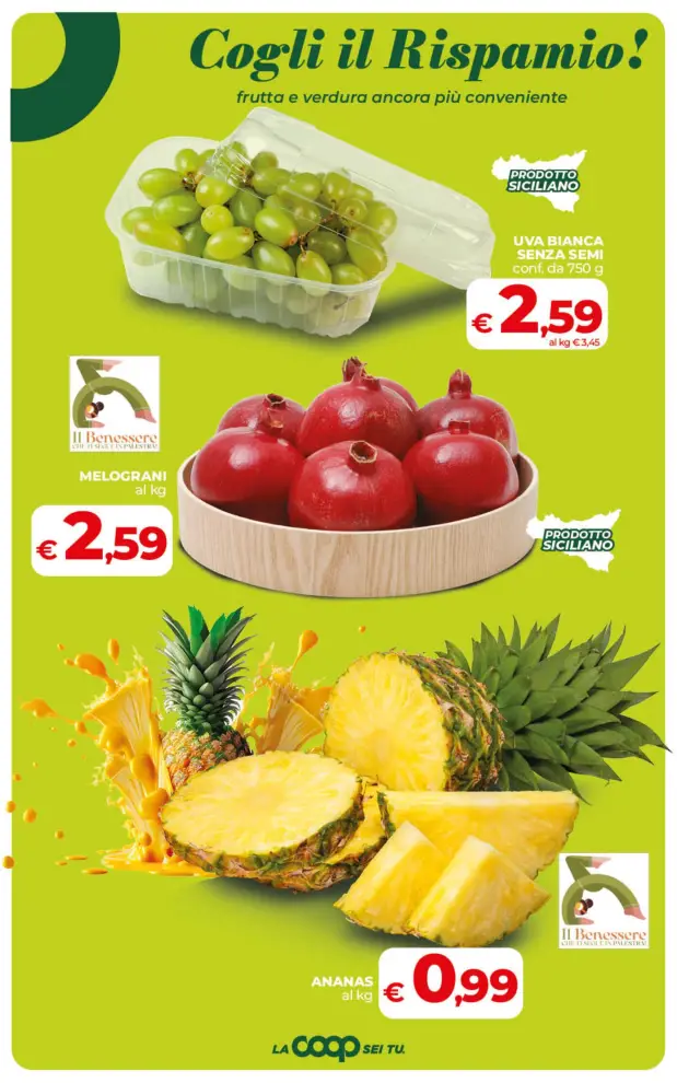 Volantino Promozioni24 pagina 794764