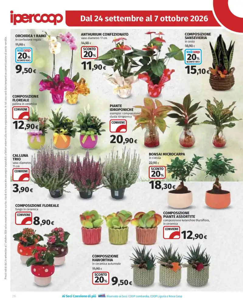 Volantino Promozioni24 pagina 412122