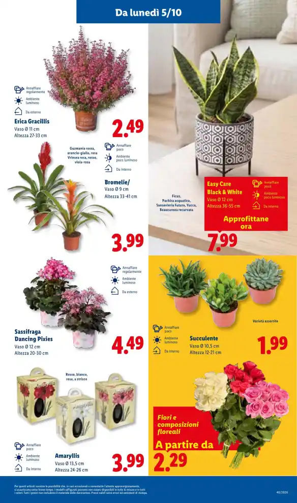 Volantino Promozioni24 pagina 423623