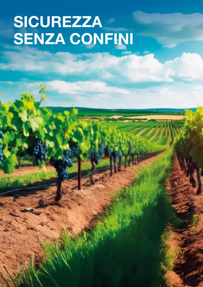 Volantino Promozioni24 pagina 105938