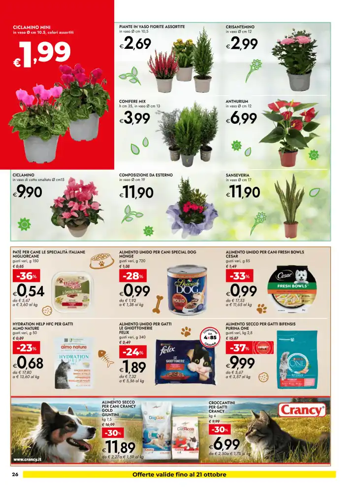 Volantino Promozioni24 pagina 867393