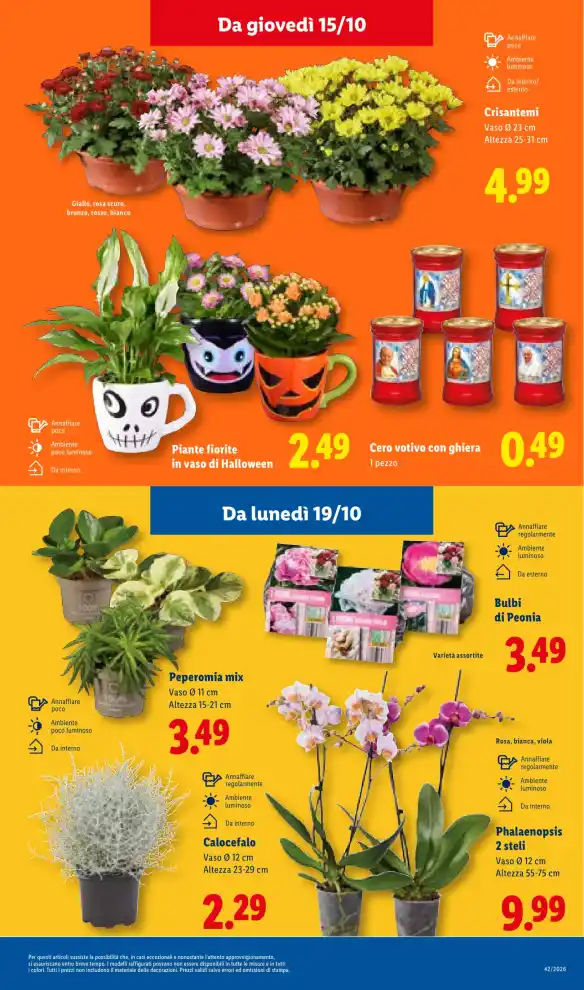 Volantino Promozioni24 pagina 709419