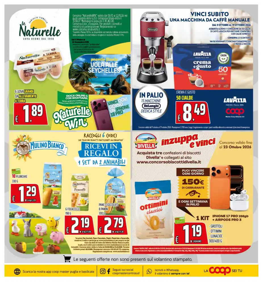 Volantino Promozioni24 pagina 313130