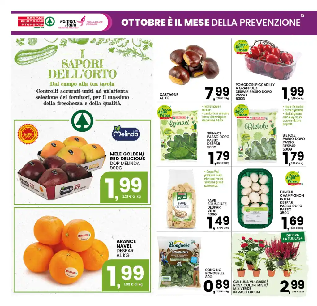 Volantino Promozioni24 pagina 931412