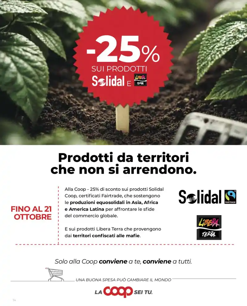 Volantino Promozioni24 pagina 384366