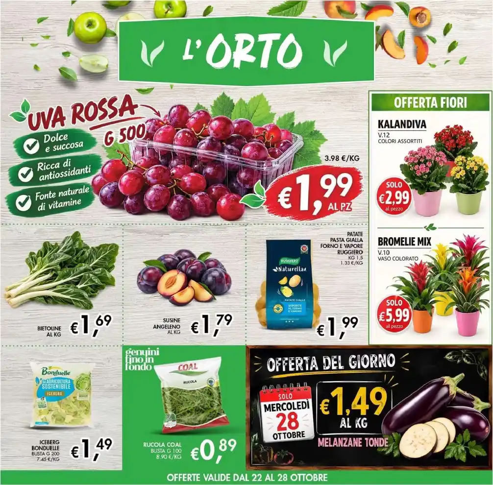 Volantino Promozioni24 pagina 102818
