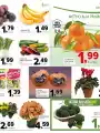Volantino Todis Supermercato Speciale Marche Abruzzo e Puglia dal 15/10 fino al 28/10/2026 Sfoglia il volantino