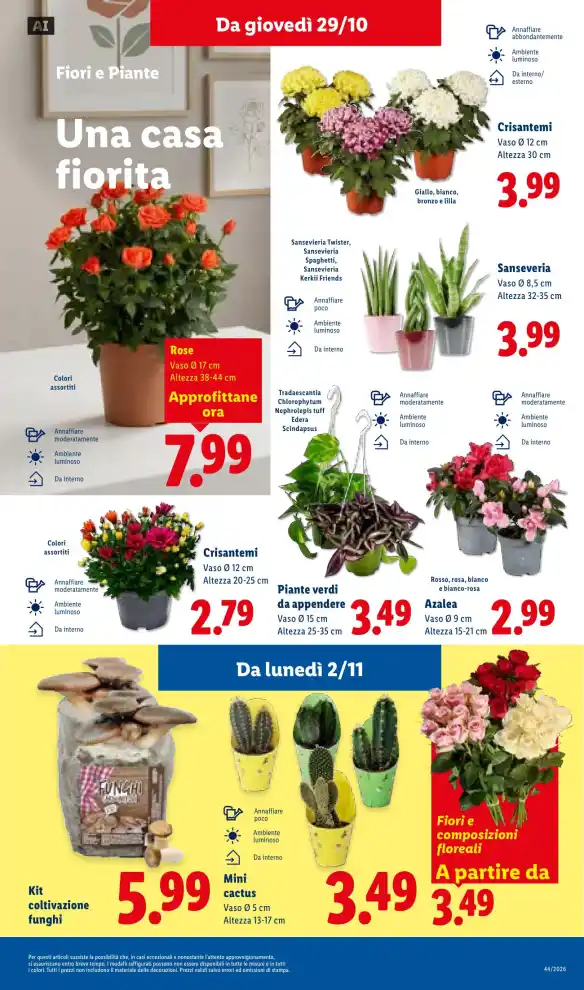 Volantino Promozioni24 pagina 810050