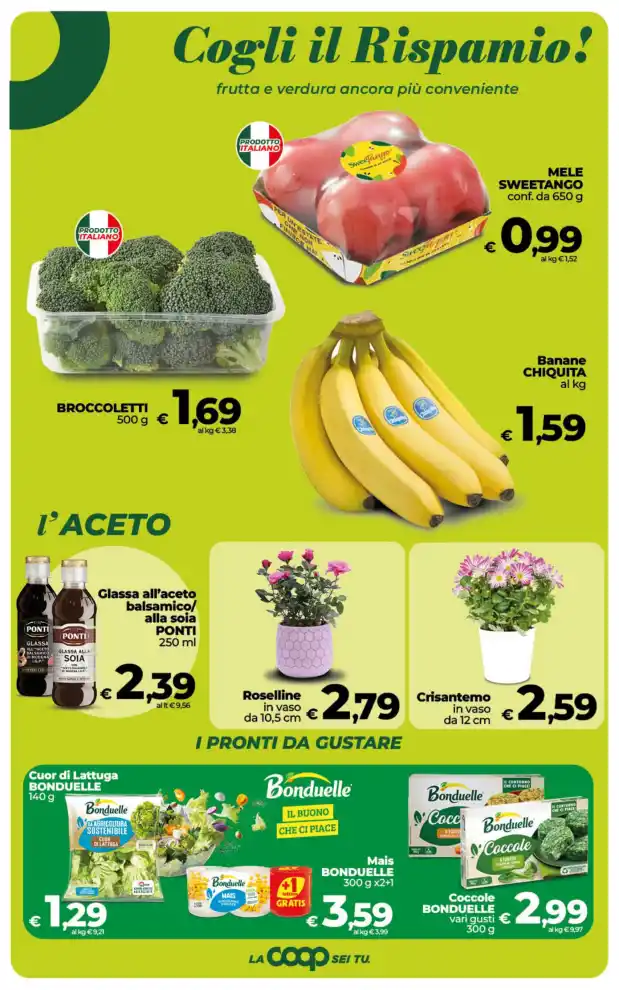 Volantino Promozioni24 pagina 690497